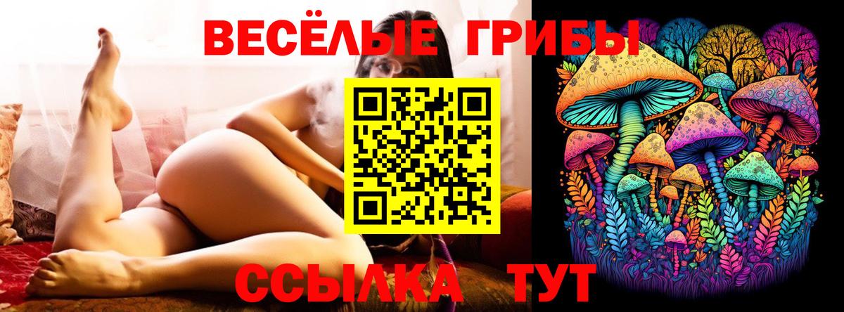 Псилоцибиновые грибы мухоморы Лосино-Петровский